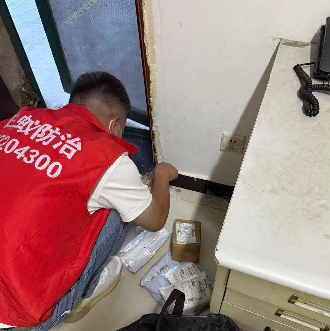 国家电网办公室白蚁防治